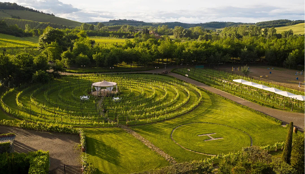 Vinding vineyard